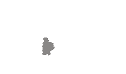 Jelgava