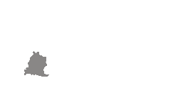 Saldus
